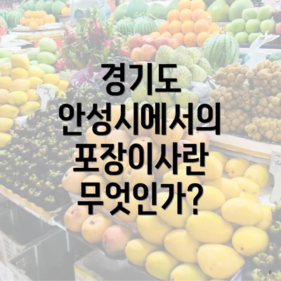 경기도 안성시에서의 포장이사란 무엇인가?