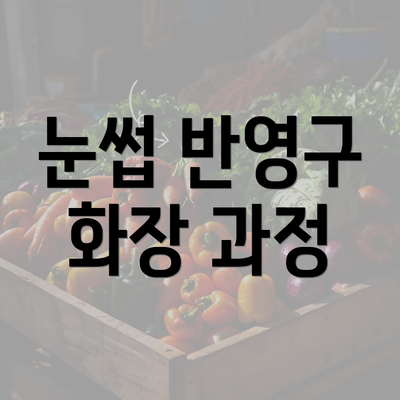 눈썹 반영구 화장 과정