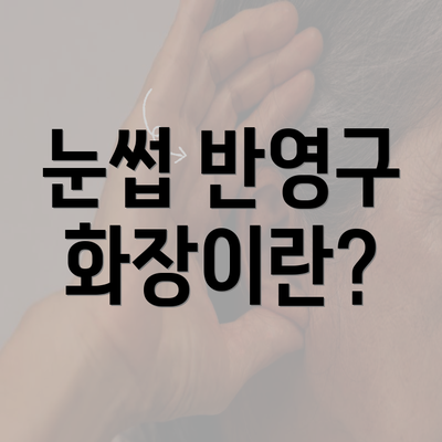 눈썹 반영구 화장이란?