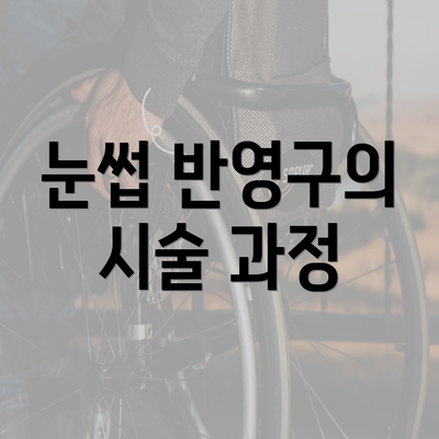 눈썹 반영구의 시술 과정