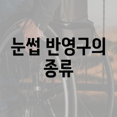 눈썹 반영구의 종류