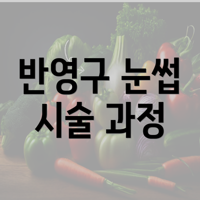 반영구 눈썹 시술 과정