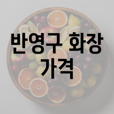 반영구 화장 가격