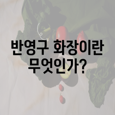 반영구 화장이란 무엇인가?