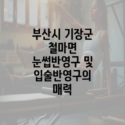 부산시 기장군 철마면 눈썹반영구 및 입술반영구의 매력