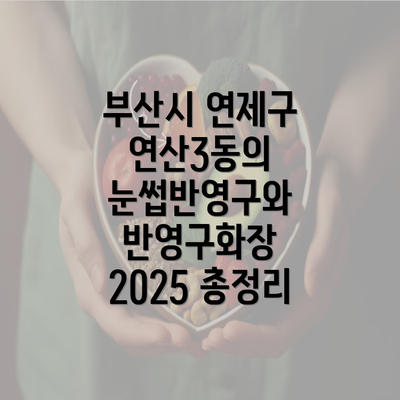 부산시 연제구 연산3동의 눈썹반영구와 반영구화장 2025 총정리