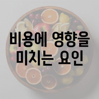 비용에 영향을 미치는 요인