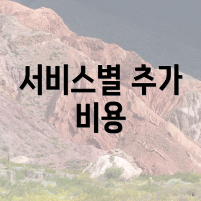 서비스별 추가 비용