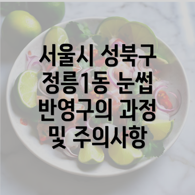 서울시 성북구 정릉1동 눈썹 반영구의 과정 및 주의사항