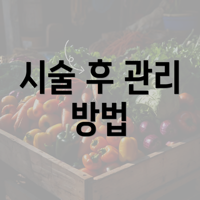 시술 후 관리 방법