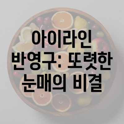 아이라인 반영구: 또렷한 눈매의 비결