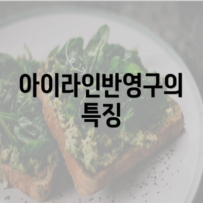 아이라인반영구의 특징