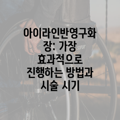 아이라인반영구화장: 가장 효과적으로 진행하는 방법과 시술 시기