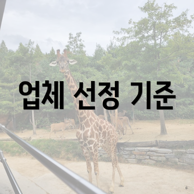 업체 선정 기준