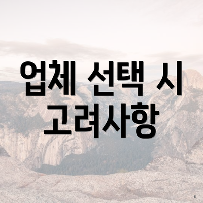 업체 선택 시 고려사항