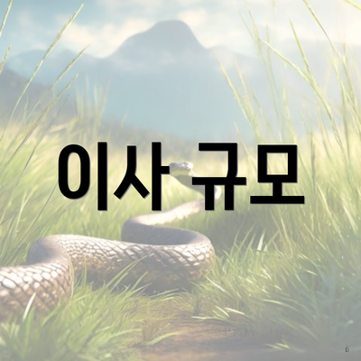 이사 규모