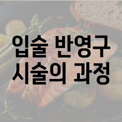 입술 반영구 시술의 과정