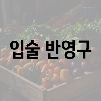 입술 반영구