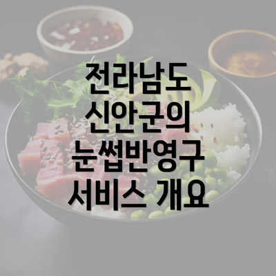 전라남도 신안군의 눈썹반영구 서비스 개요