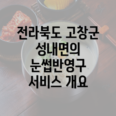 전라북도 고창군 성내면의 눈썹반영구 서비스 개요