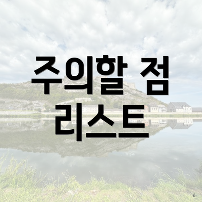 주의할 점 리스트