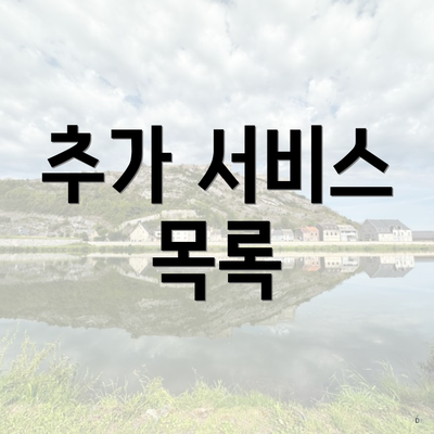 추가 서비스 목록