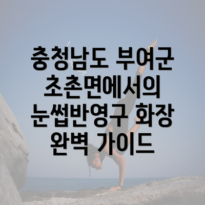 충청남도 부여군 초촌면에서의 눈썹반영구 화장 완벽 가이드