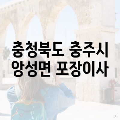 충청북도 충주시 앙성면 포장이사